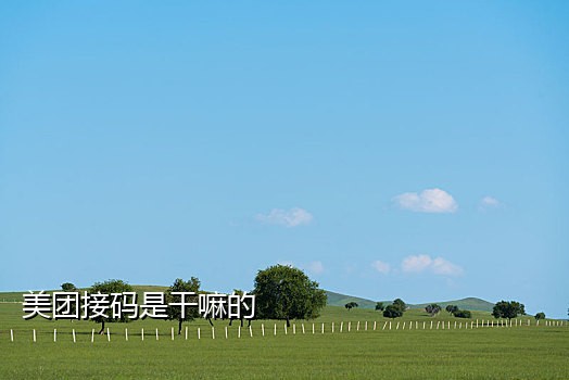 饿了么无线刷单接码平台