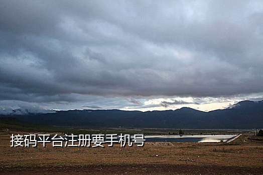 短信接验证码