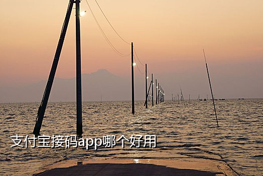 短信接吗码平台