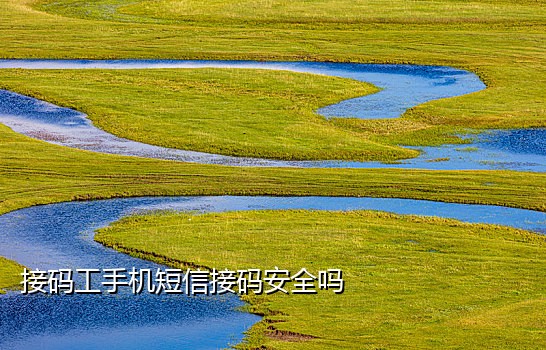 短信接码平台支持微博APP吗