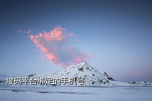 短信接码平台客户端