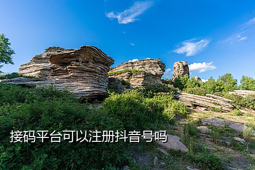 短信接码机在线助手