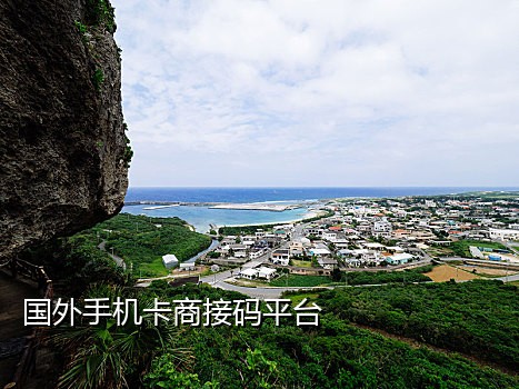 短信登录网址接码是啥意思