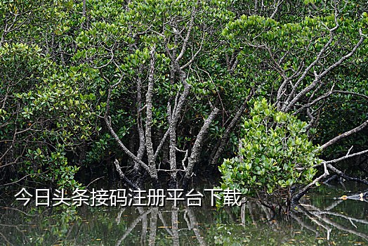 抖音手机号注册接码