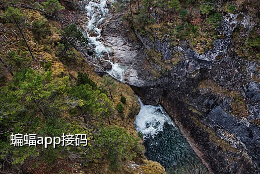 抖音接码做什么项目