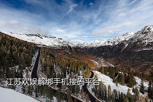 抖音号接码登录软件