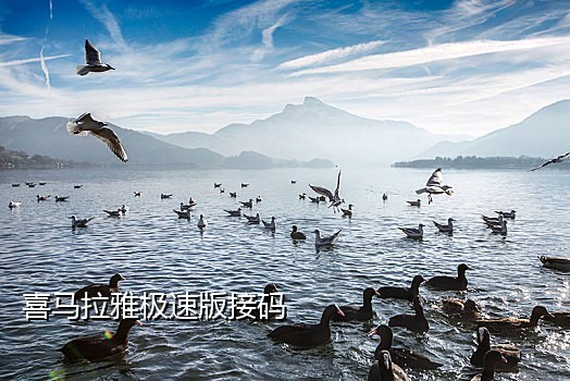 抖音多闪网站接码卡