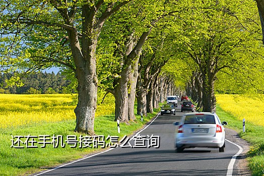 德芙云短信接码身份验证