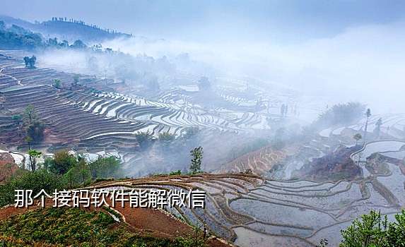 财狼接码短信平台