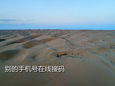 报考中级手机接不到验证码
