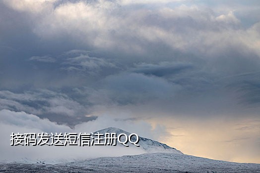 斑马接码苹果版
