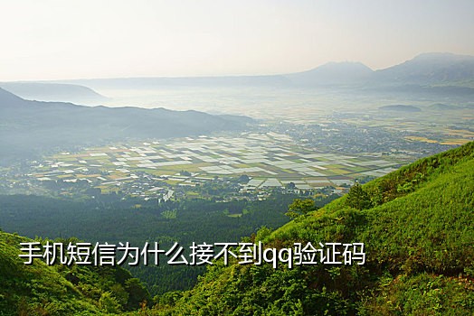 斑马接码qq
