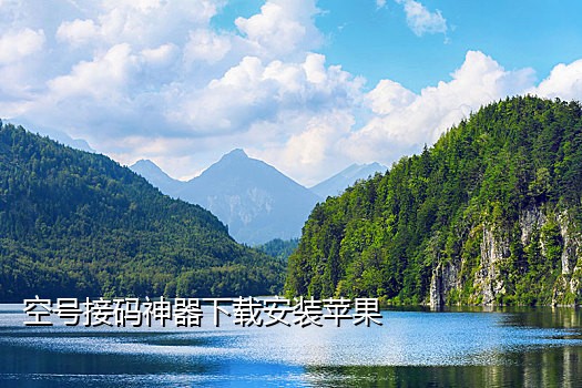 短信语音接验证码平台