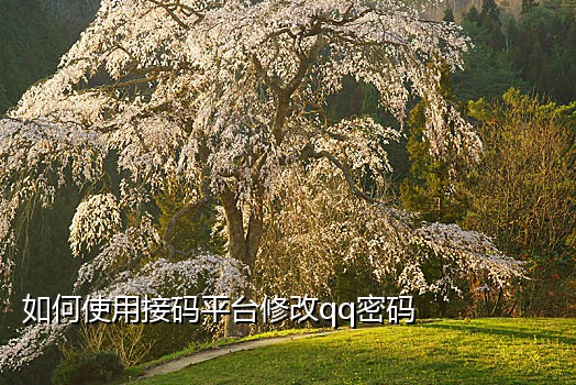 按键精灵手机助手接码平台