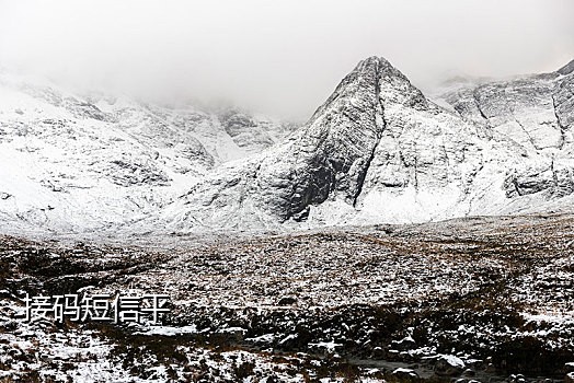 爱奇艺为什么接不到验证码