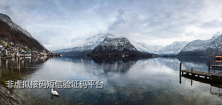 爱奇艺会员接码