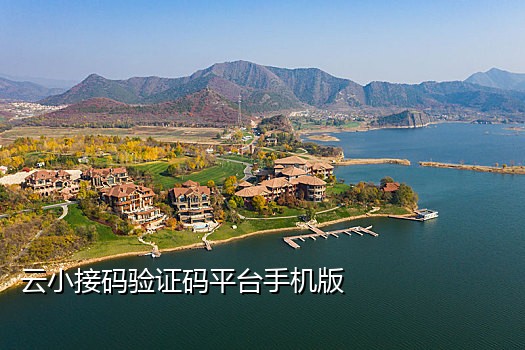 短信验证码接app下载