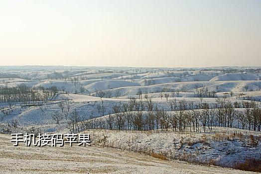 vivo手机接不到验证码