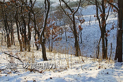 qq手机验证码接不到怎么解绑