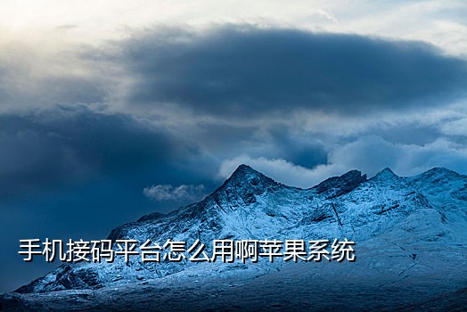 google接码平台