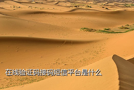 fb手机号接码渠道是什么
