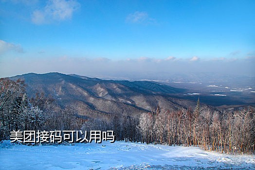 e短信接码