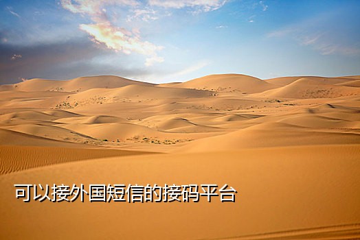 chat gpt接码平台