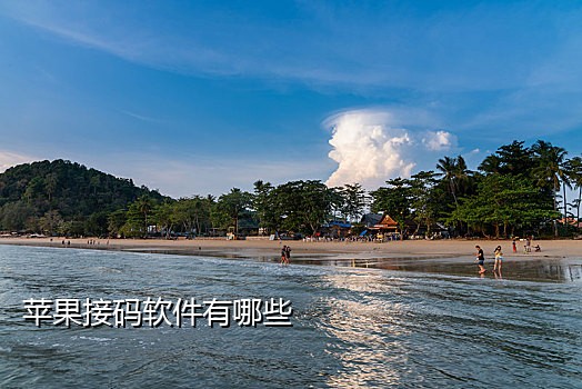 BM短信接码平台