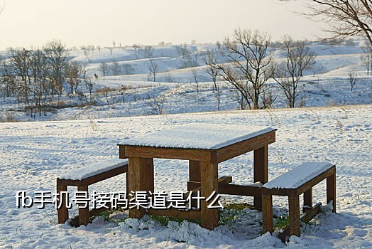 专门接爱奇艺验证码的平台