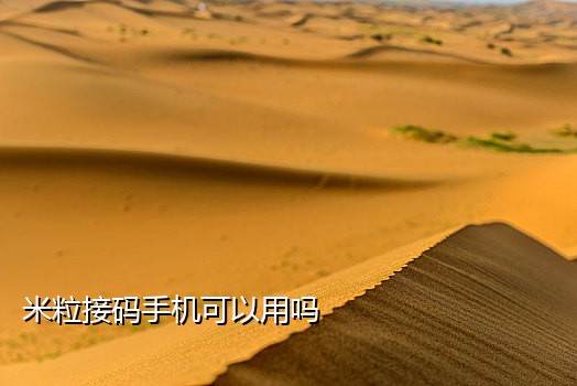 短信接码助手v2.0