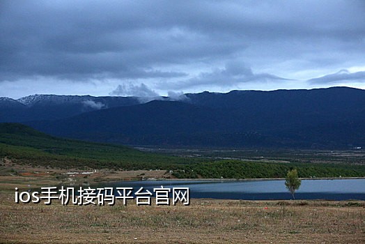 注册探探接码卡商