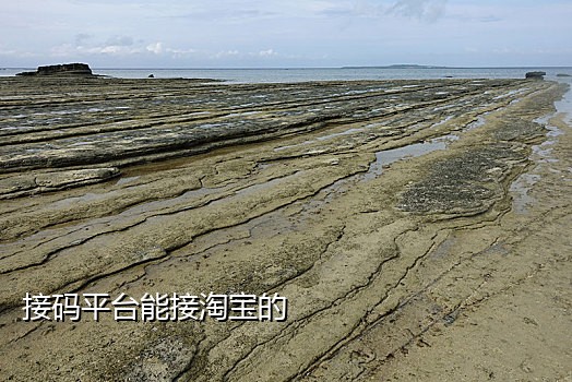 周口市手机店接码被刑拘