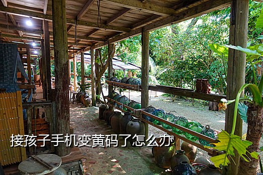 指定短信接码平台