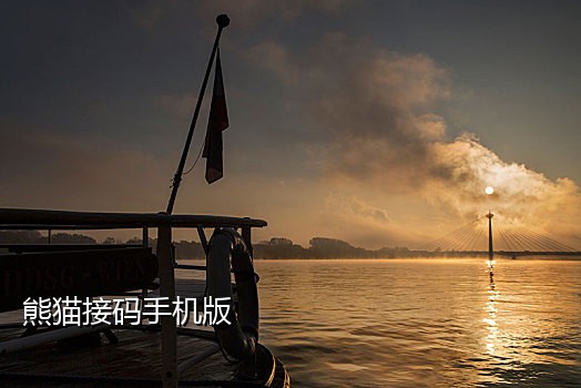 支付宝接码链接