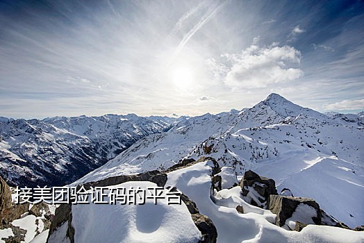 短信接码验证码平台网站