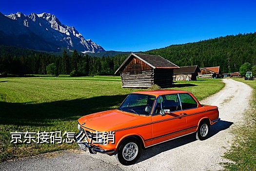 真实手机号接码平台