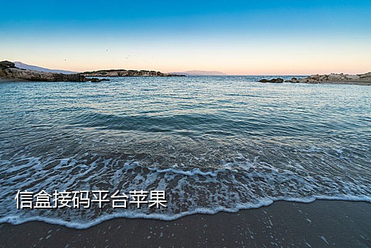 怎么查接码平台的手机号