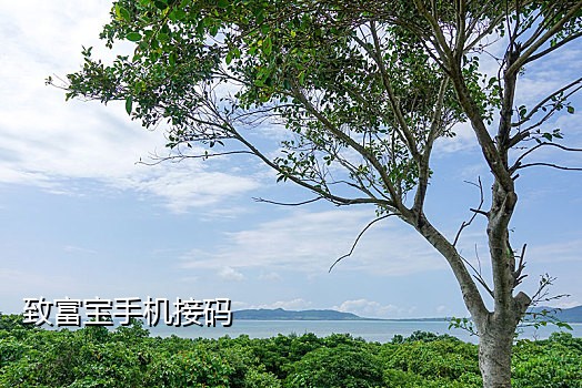 有没有抖音接码平台