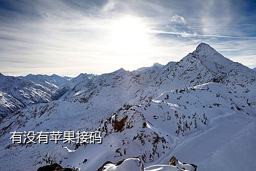 易码接码短信平台