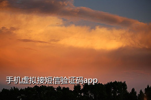 星光接码短信验证