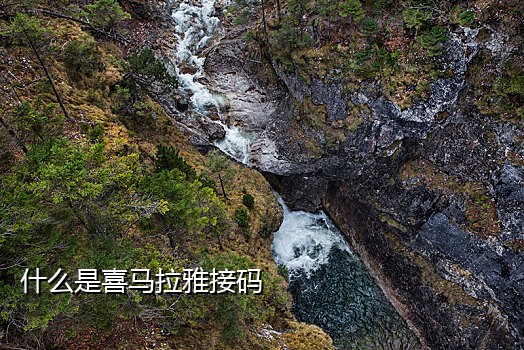 小红书怎么接码注册大量账号