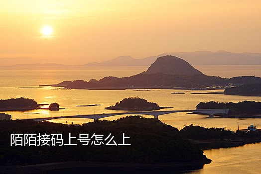小白接码短信怎么发给别人