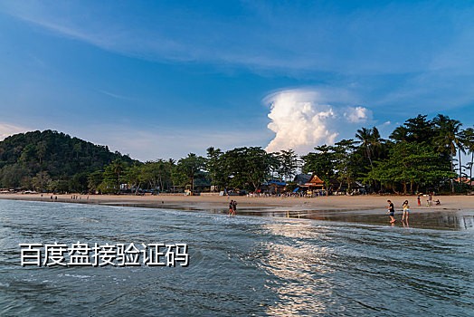 短信接码平台验证码