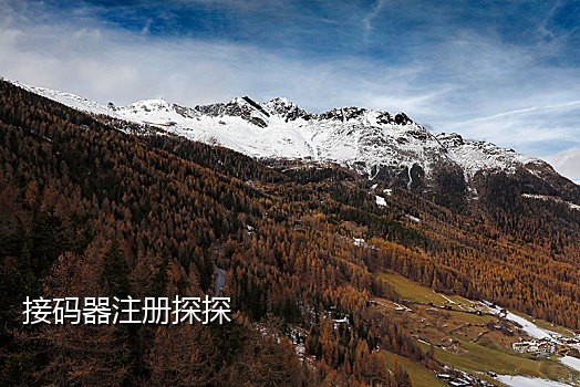 唯品会接码app