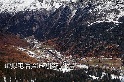 短信接码平台美国