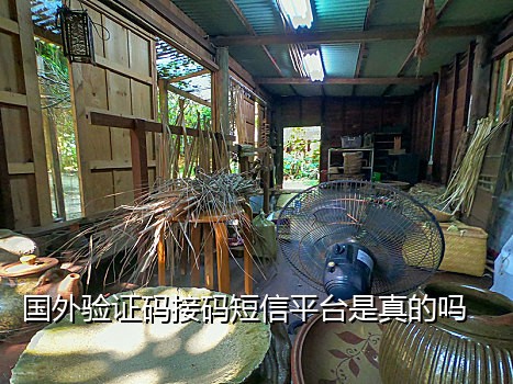 微信接码平台哪个好用