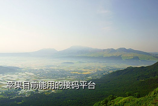 微信接码码平台