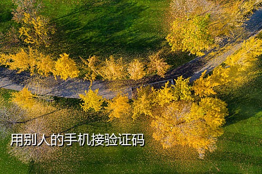 微信短信接码免费平台