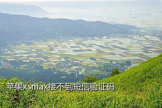 外国手机号接码软件