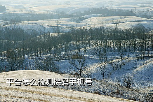 推荐接码短信平台下载安装